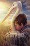 Nonton Storm Boy (2019) Subtitle Indonesia